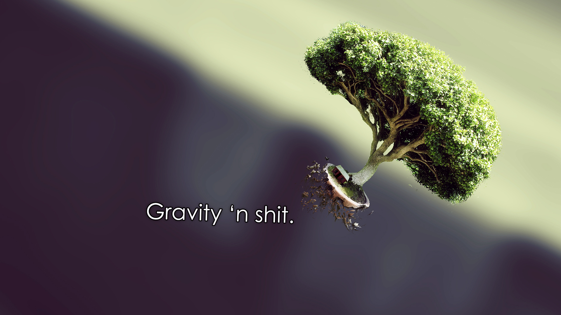 Nature Quotes Gravity Wallpaper