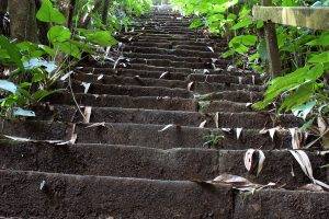 Nature Stairs Macro