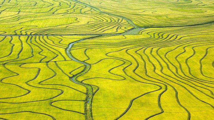 Rice Paddies Beautiful Landscape Photo HD Wallpaper Desktop Background