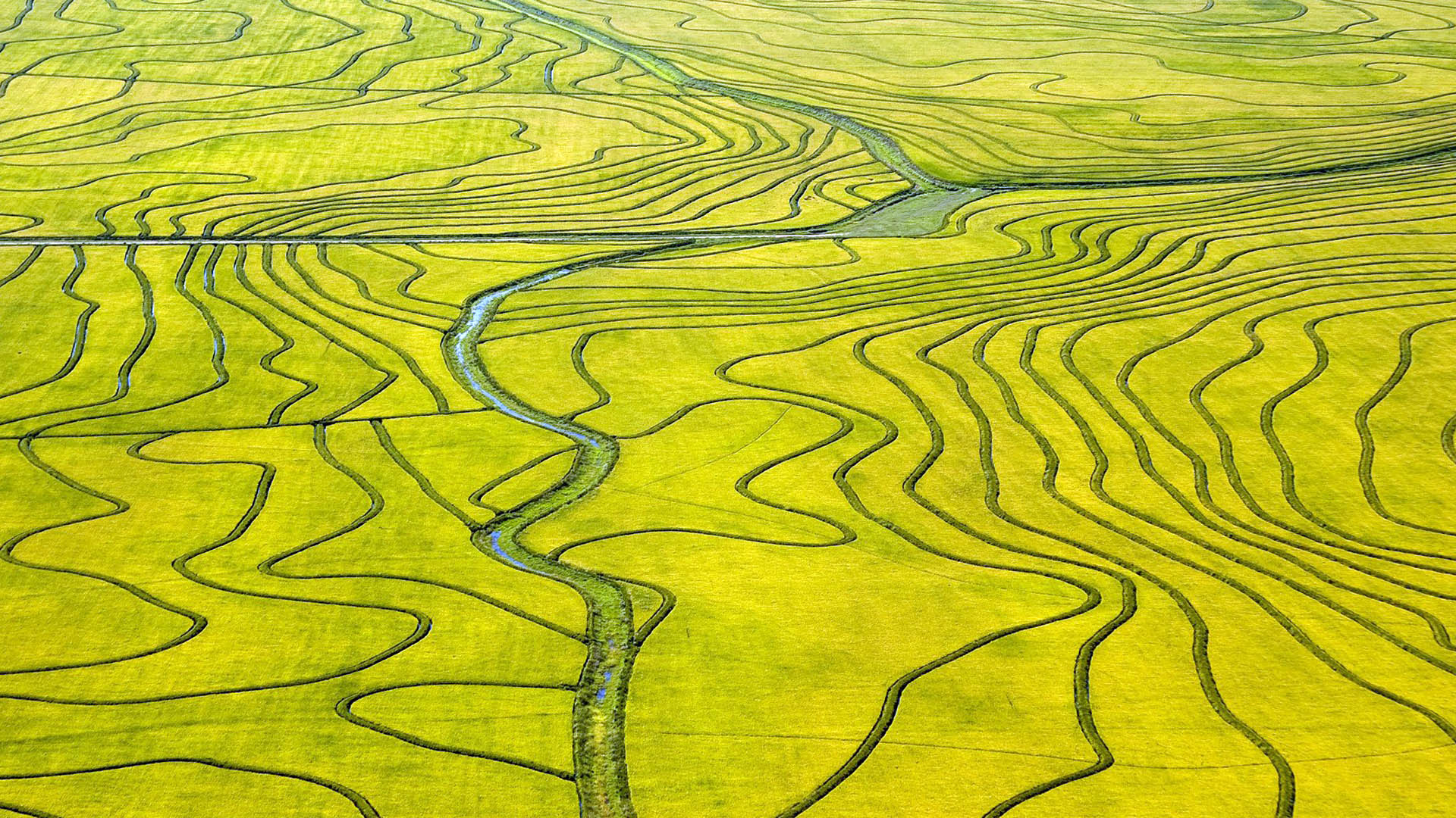 Rice Paddies Beautiful Landscape Photo Wallpaper