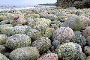 Stone On Beach