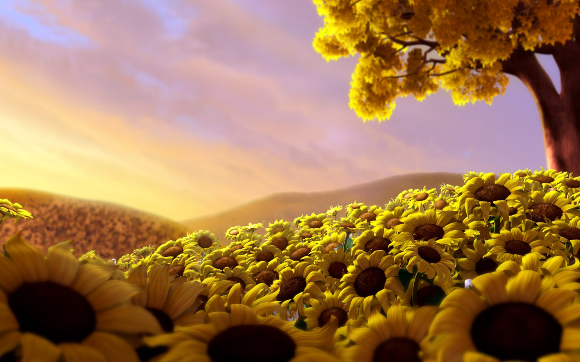 Sunflowers Picture Wallpaper