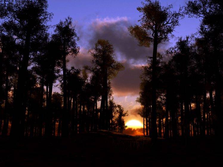 Sunset In Forest Landscape Best HD Wallpaper Desktop Background