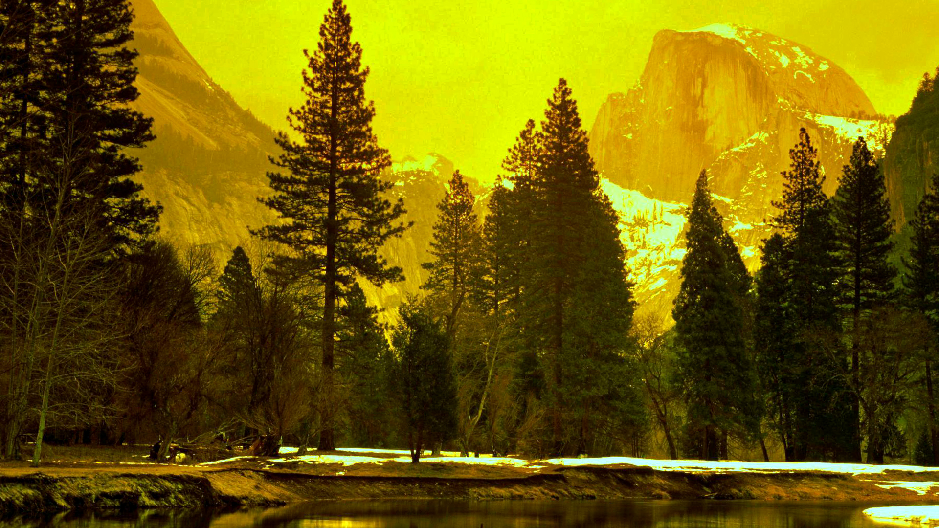 Yellow Nature Landscape Picture Wallpaper
