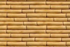 Bamboo Pattern Textures