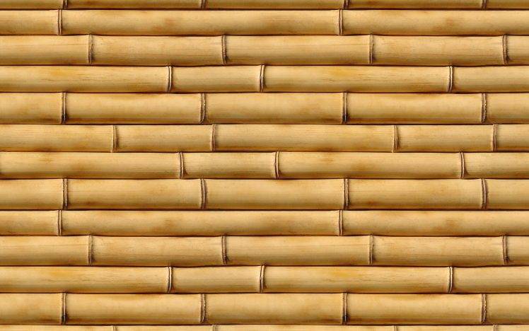 Bamboo Pattern Textures HD Wallpaper Desktop Background