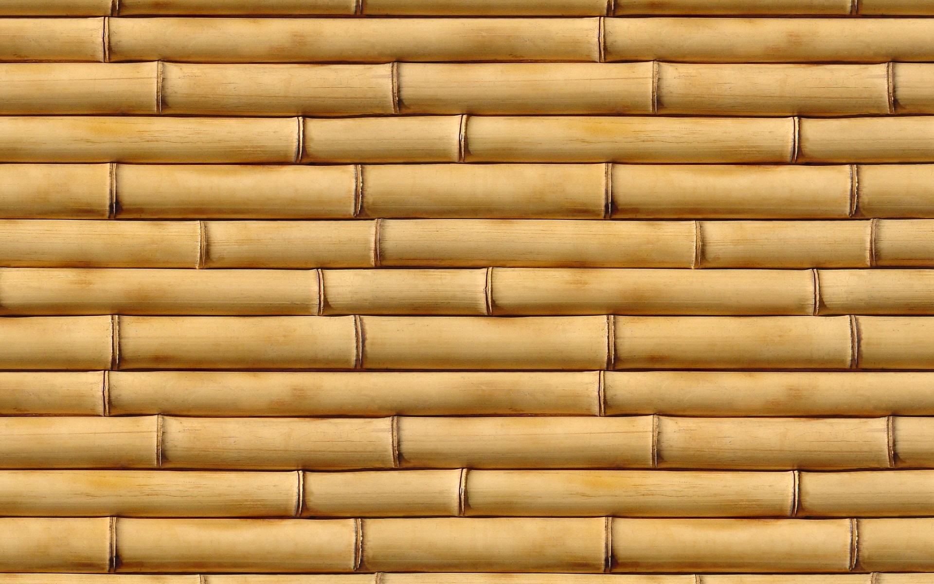 Bamboo Pattern Textures Wallpaper