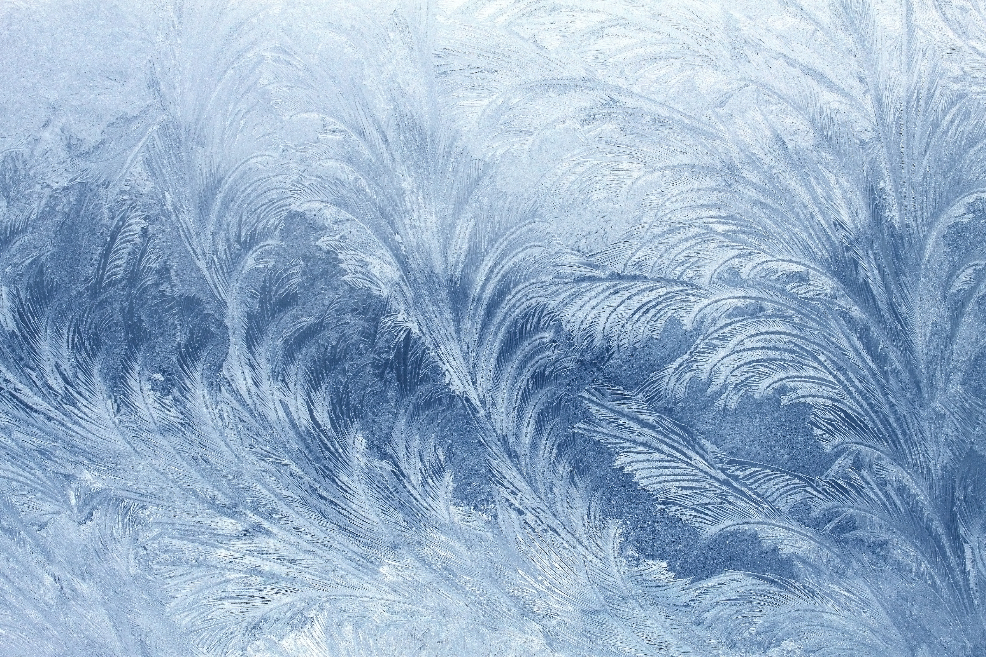 Beautiful Ice Patterns Wallpaper