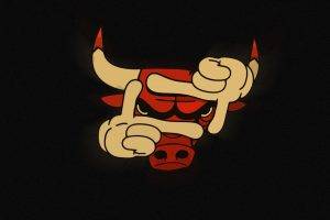 Chicago Bulls Funny Logo
