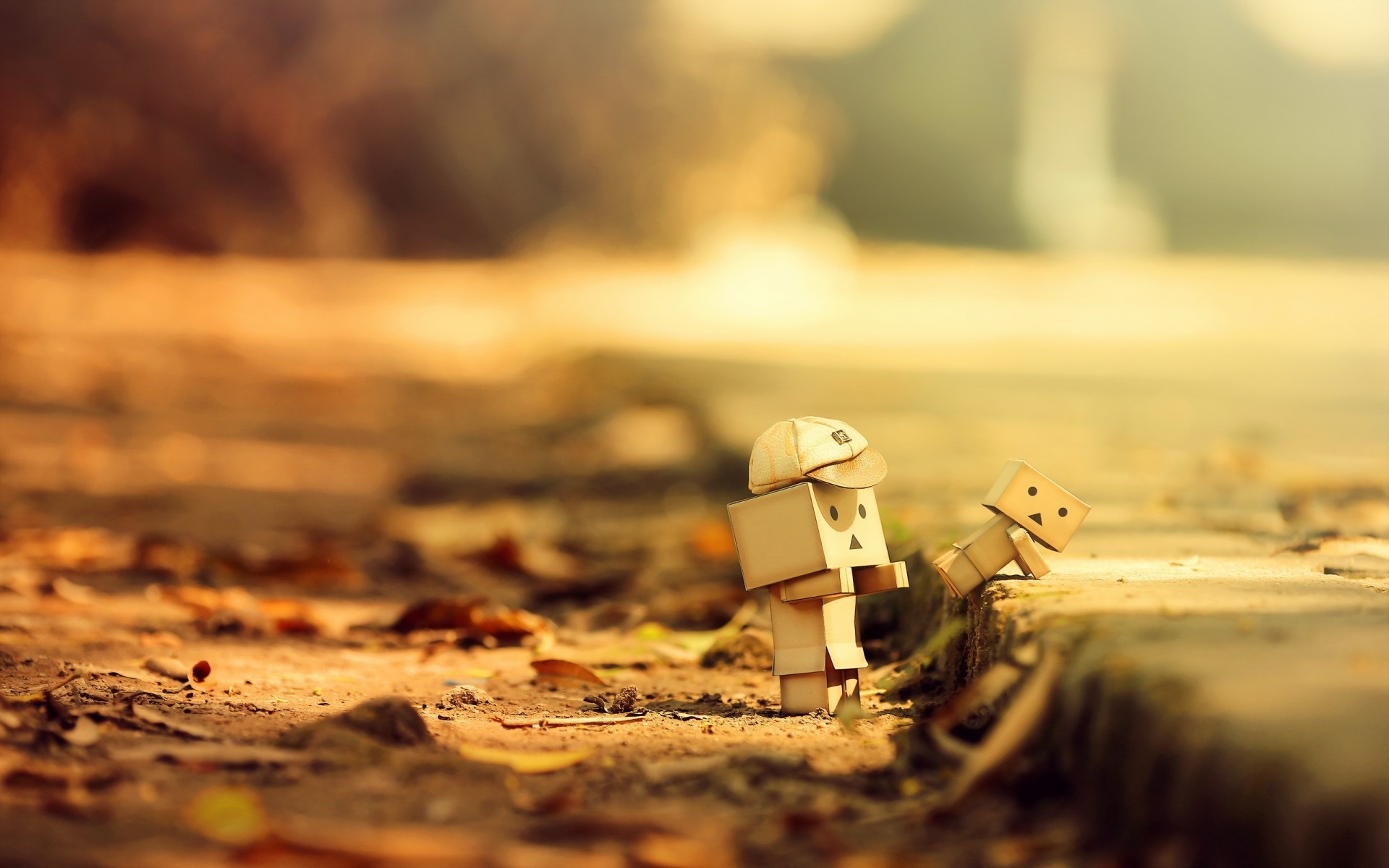 Danbo Box in Autumn Wallpapers HD Desktop and Mobile 