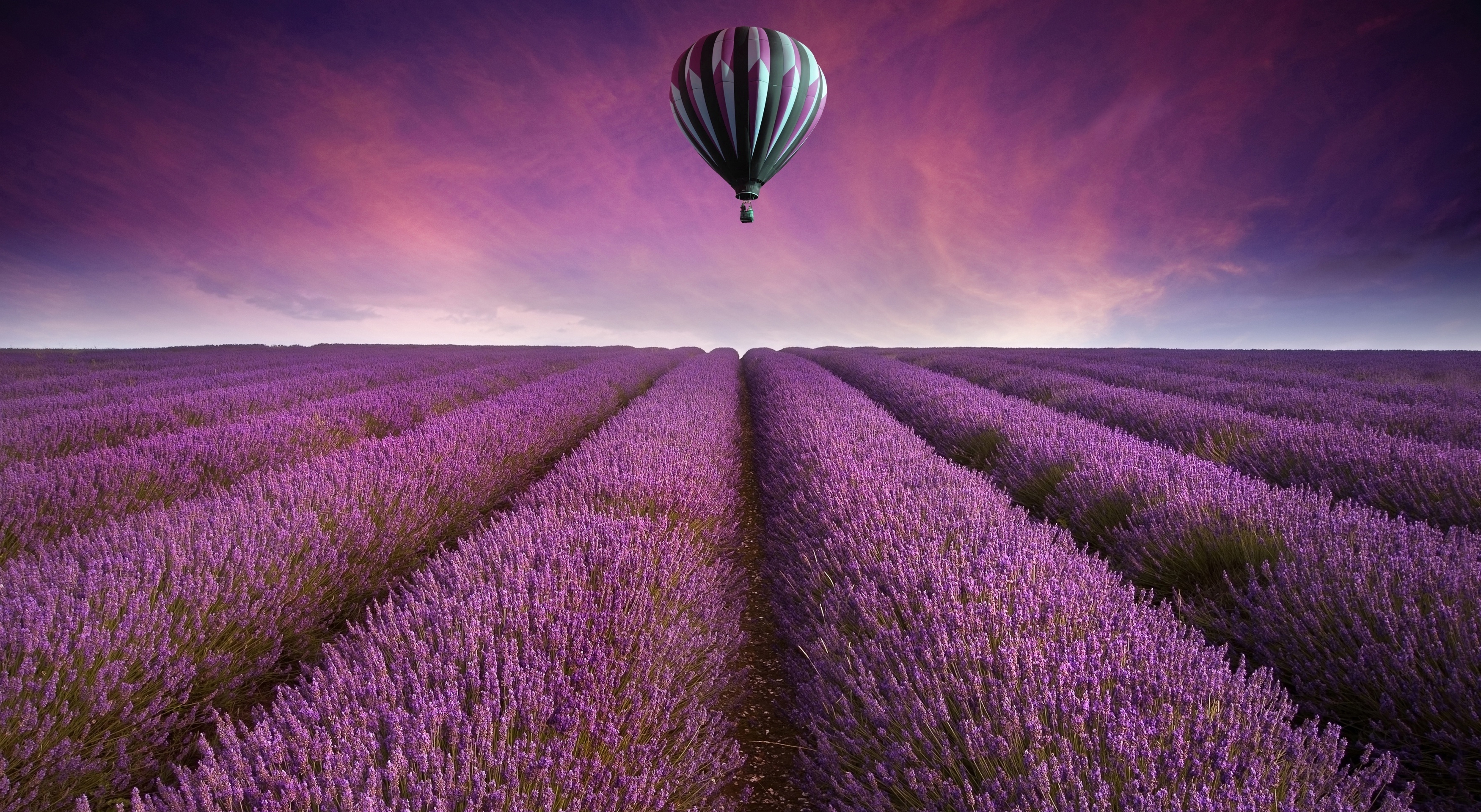 Field Landscape Purple Air Balloon Wallpaper