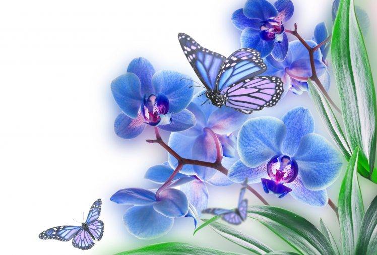 Flowers And Butterflies Wallpapers Hd Desktop And Mobile Backgrounds
