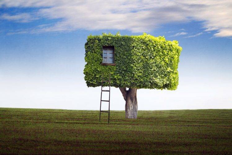 Funny Tree House HD Wallpaper Desktop Background