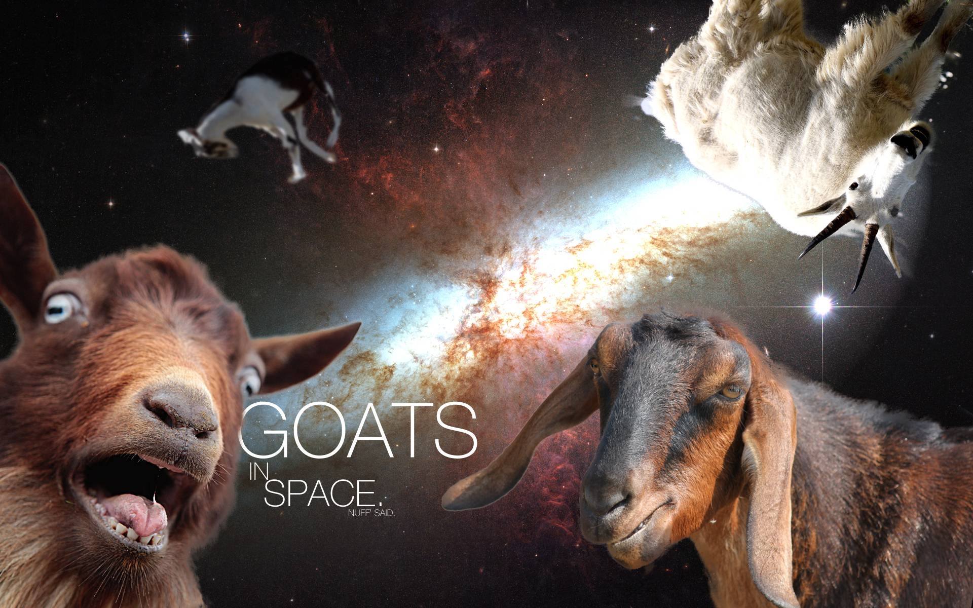Goats in Space Wallpaper