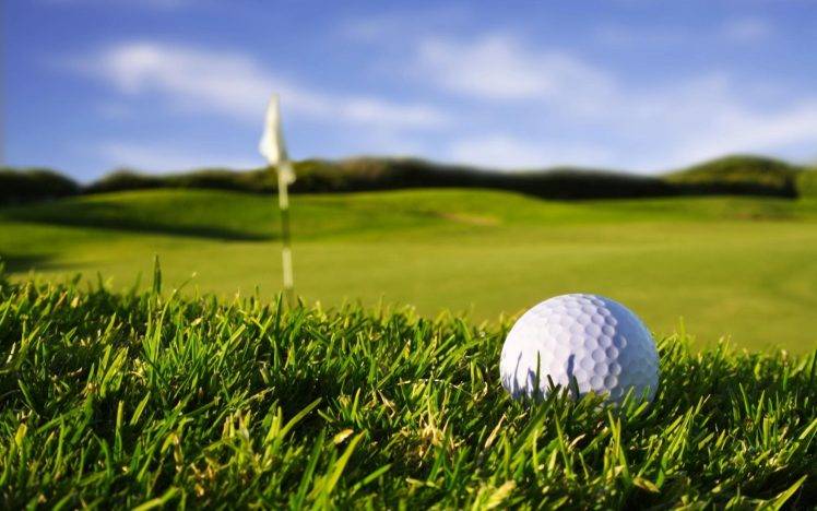 Golf Ball in Green Grass HD Wallpaper Desktop Background