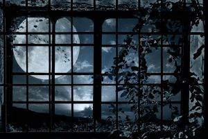 Look Window a Moon
