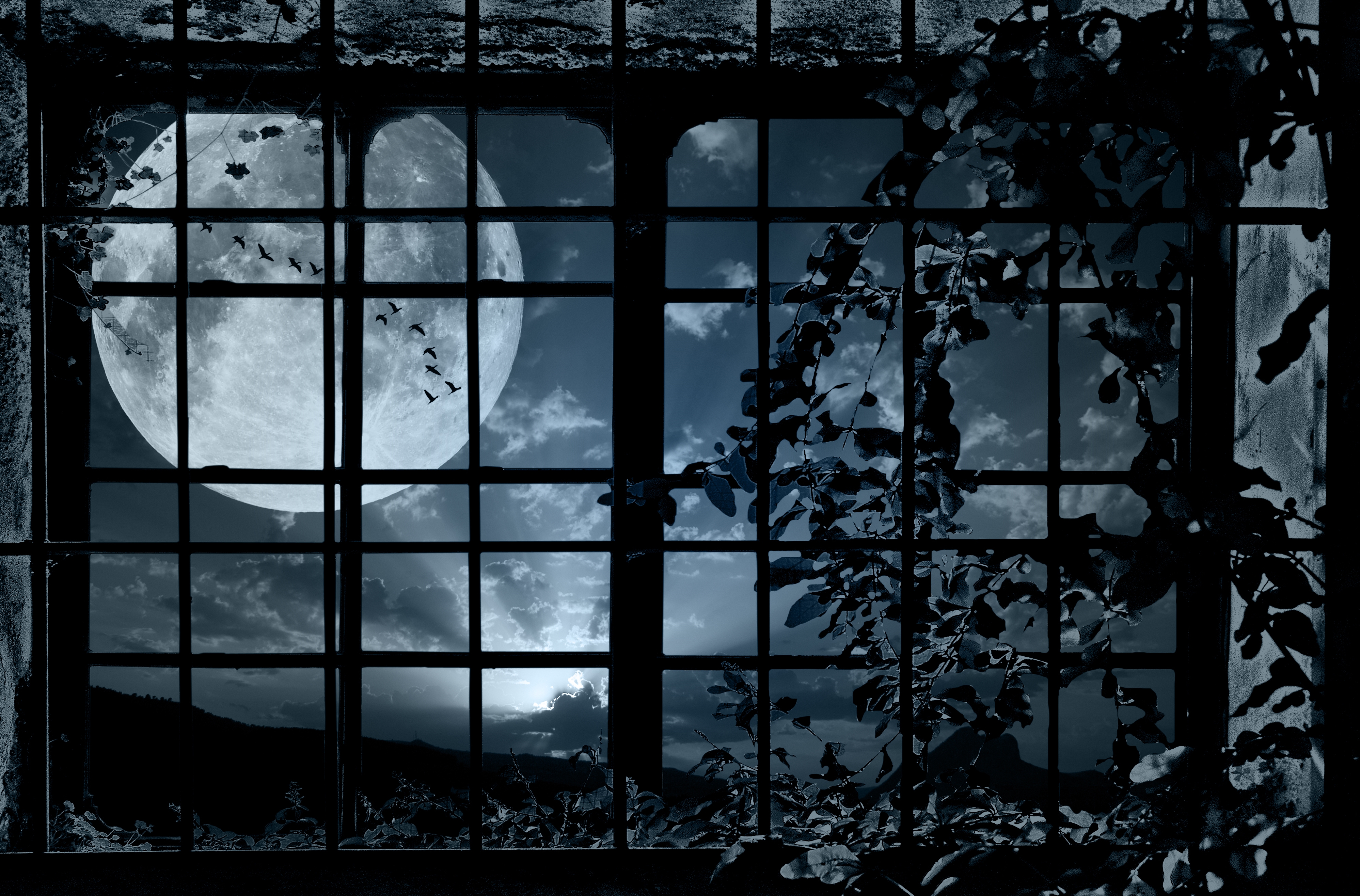 Look Window a Moon Wallpaper