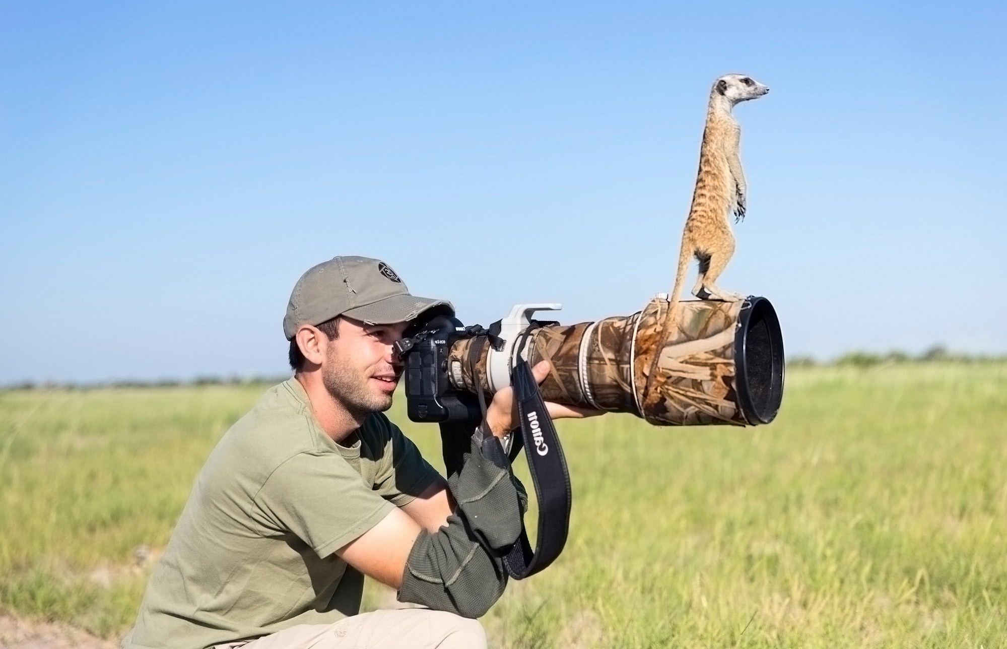 Meerkat Up the Camera Lens Wallpaper