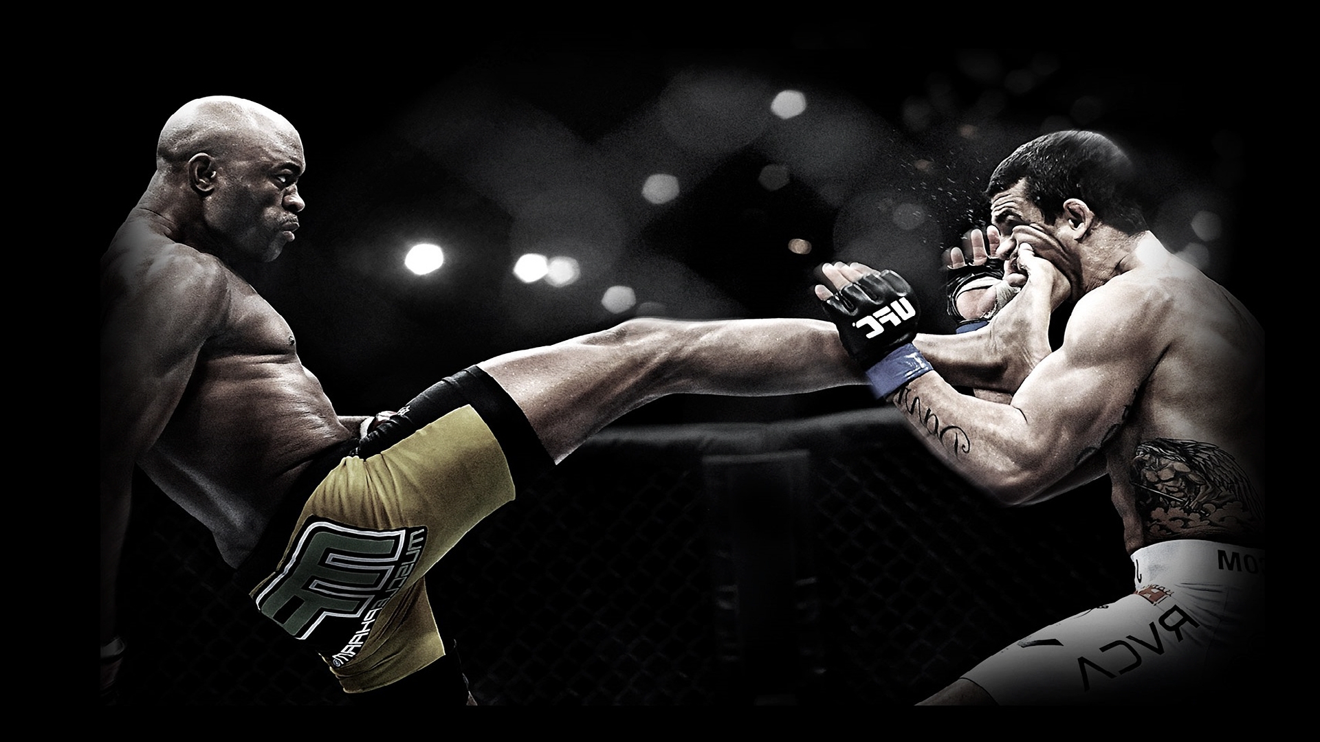 MMA Awsome Kick Wallpapers HD / Desktop and Mobile Backgrounds
