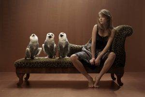 Sexy Girl and Funny Owls