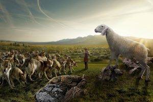 Sheep in Parallel Universe
