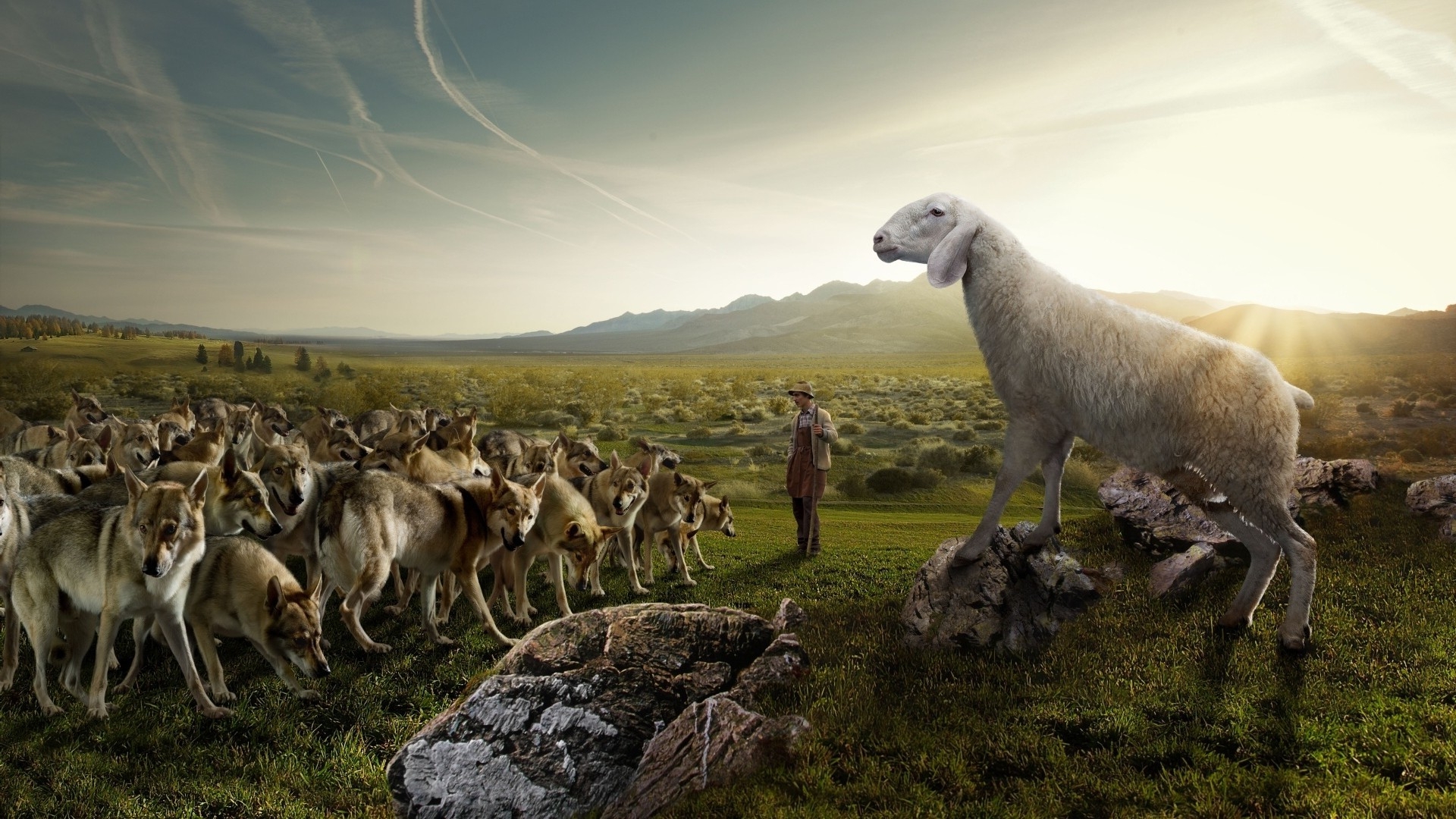 Sheep in Parallel Universe Wallpaper