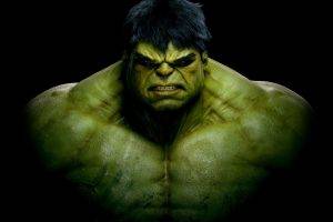 The Incredible Hulk Superhero