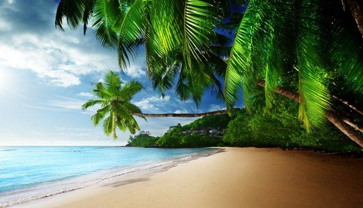 Tropical Paradise Coast Wallpapers HD / Desktop and Mobile Backgrounds