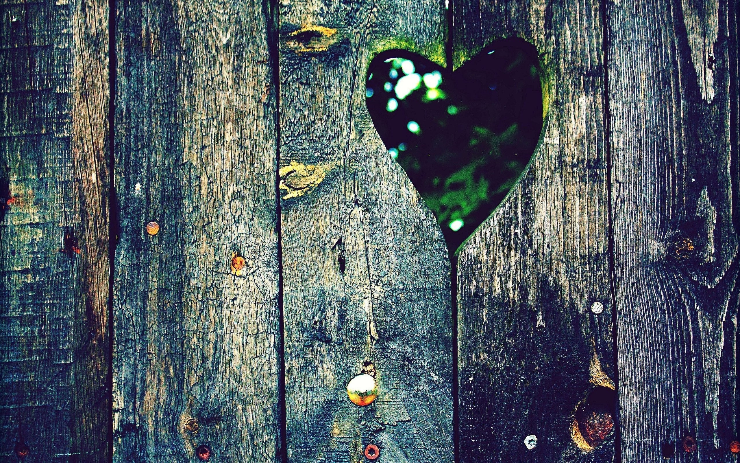 Wood Fences Hearts Holes Wallpaper