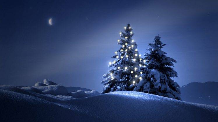 Clearly Christmas Tree At Night HD Wallpaper Desktop Background