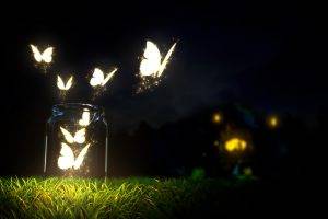 Glowing Butterfly