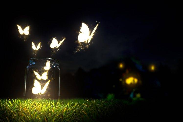 Glowing Butterfly HD Wallpaper Desktop Background