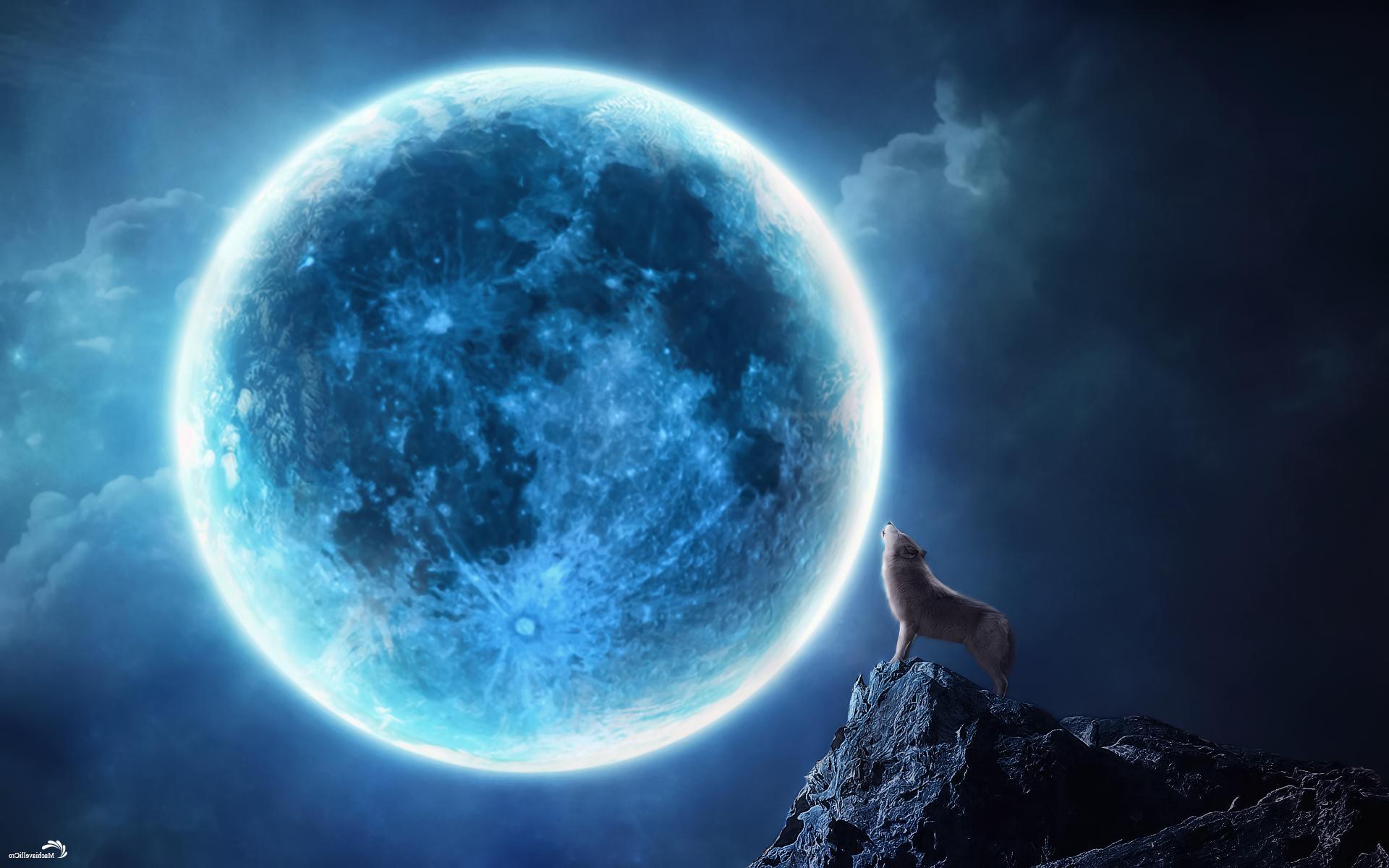 Wolves Howling Night Wallpaper