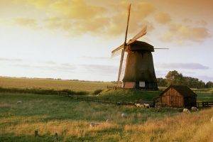 Molen Bij Alkmaar (Windmill Near Alkmaar)