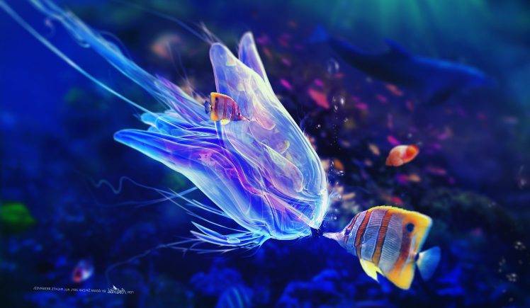 Blue Jellyfish Underwater HD Wallpaper Desktop Background
