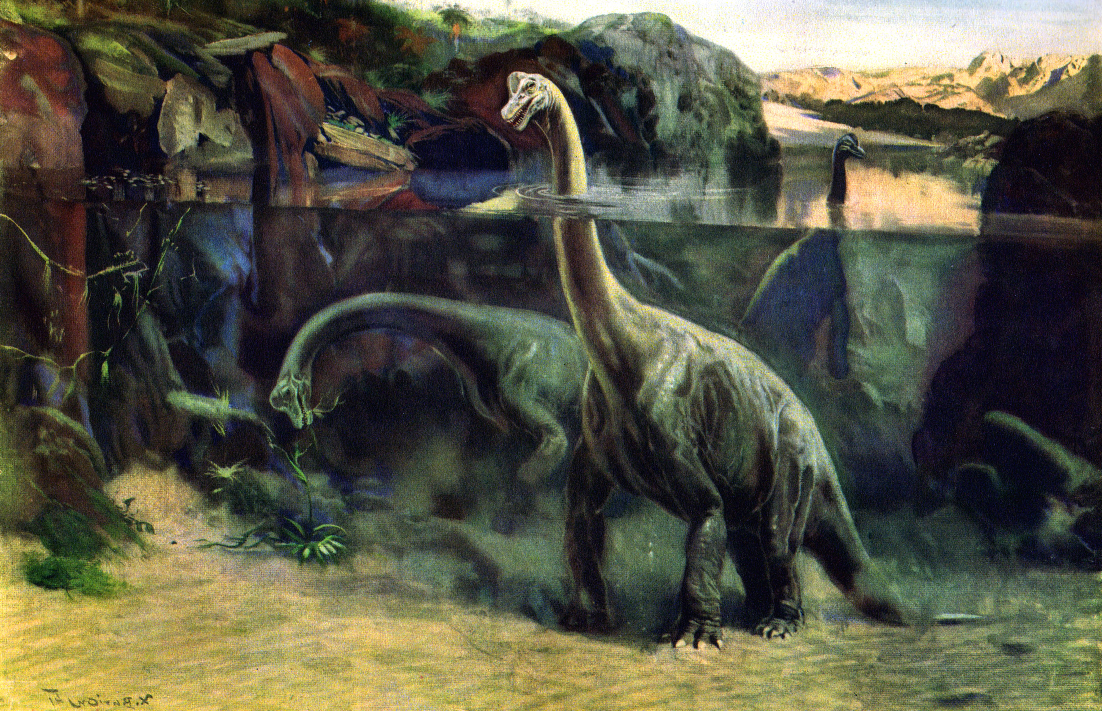 Brachiosaurus Zdenek Burian Wallpaper