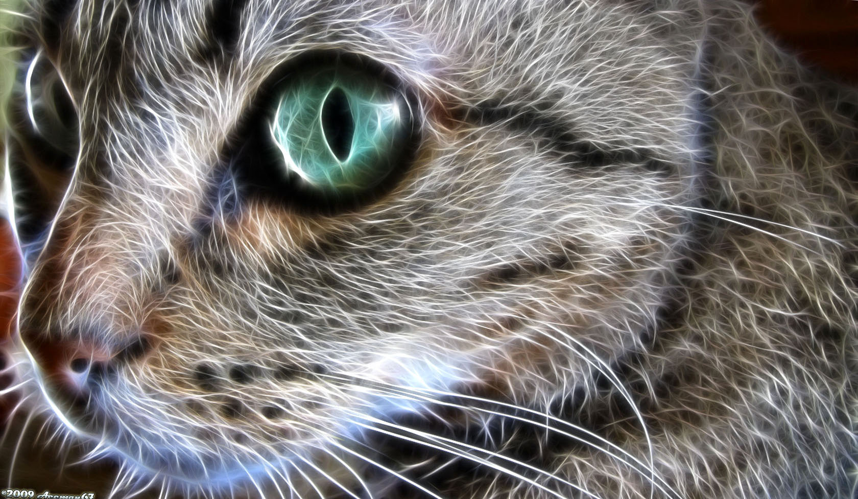 Brown Cat With Green Eyes Wallpaper