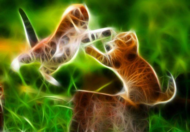 Cat Fight Neon HD Wallpaper Desktop Background