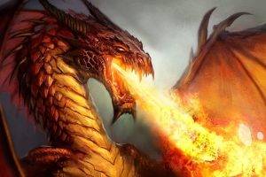 Dragon Fires