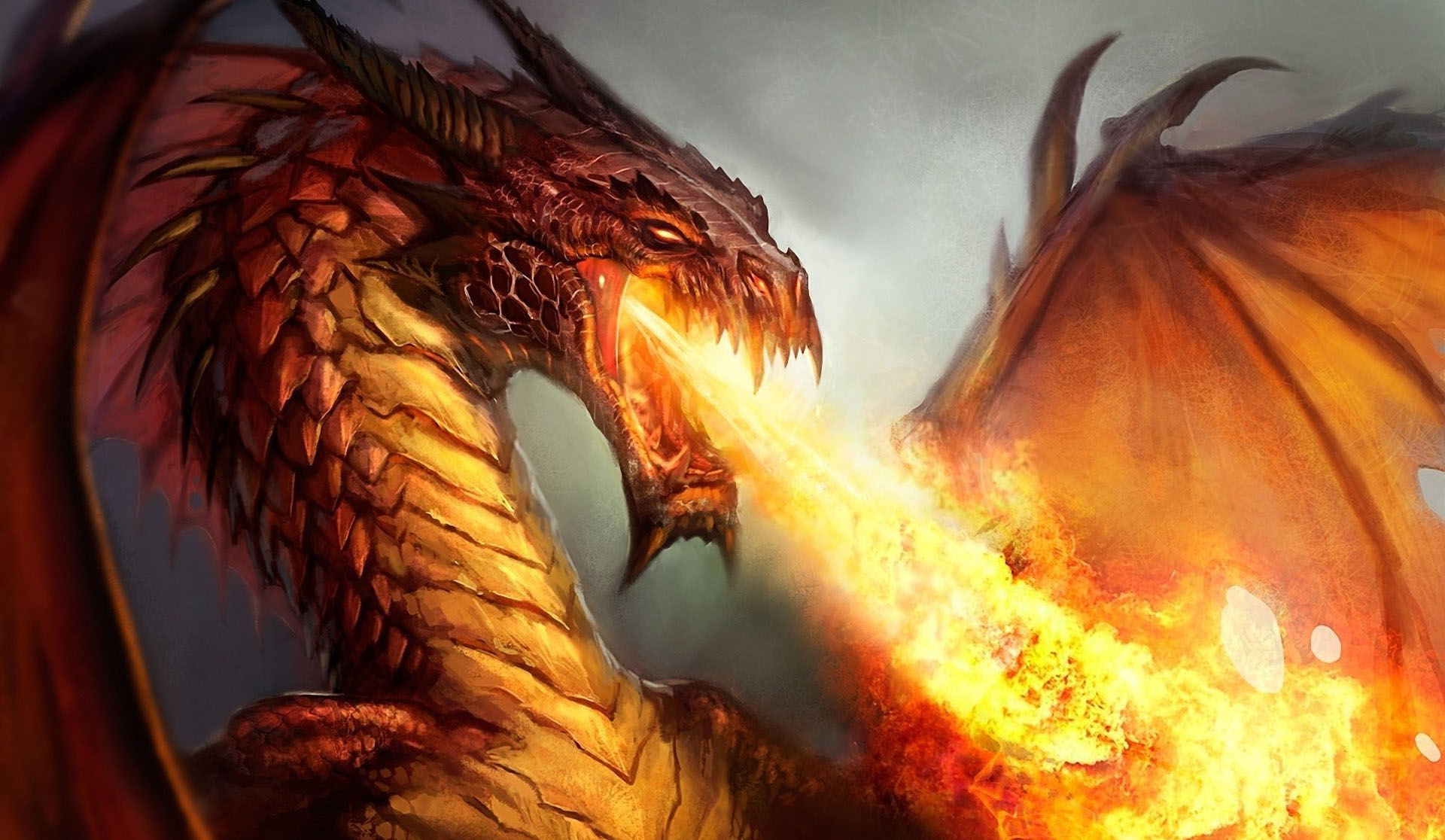 Dragon Fires Wallpaper