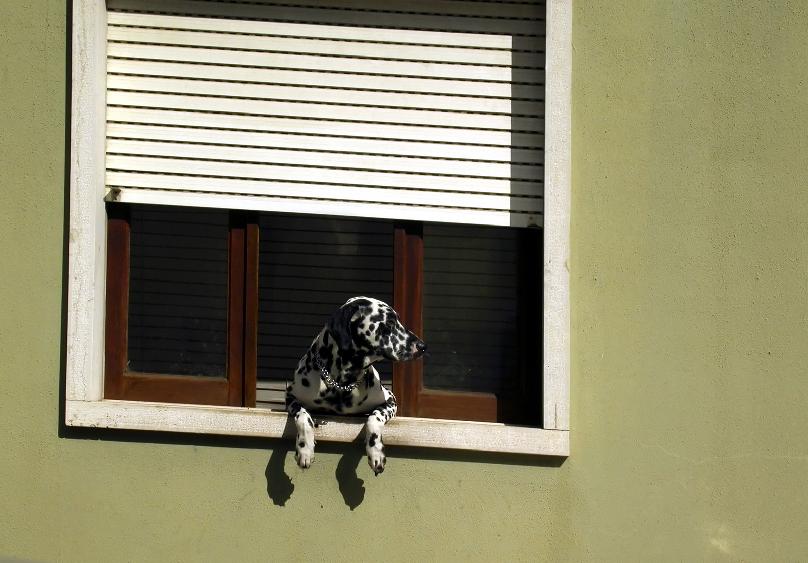 Everything Under The Control Wallpaper