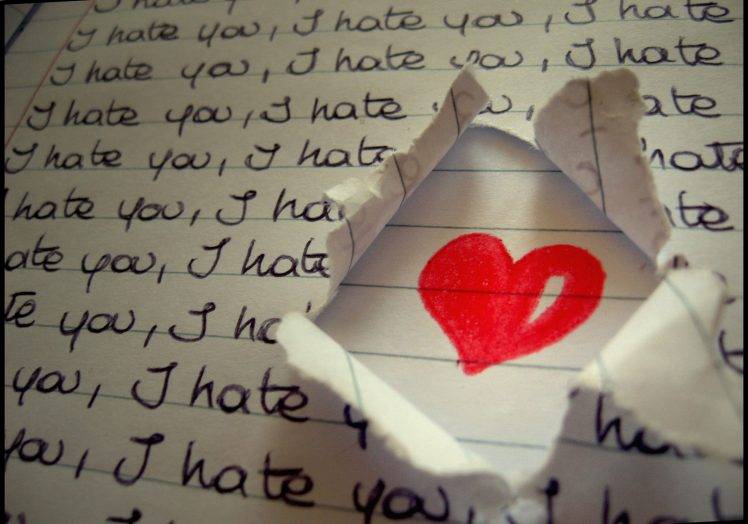 I Hate You Because I Love You HD Wallpaper Desktop Background