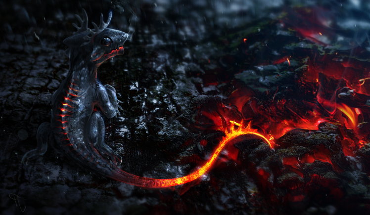 Magma Ashes Small Tails HD Wallpaper Desktop Background