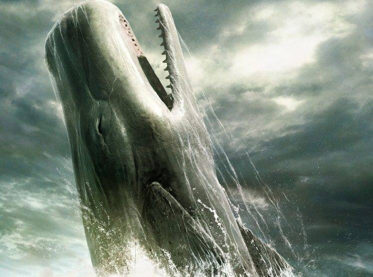 Natural Big Whales HD Wallpaper Desktop Background