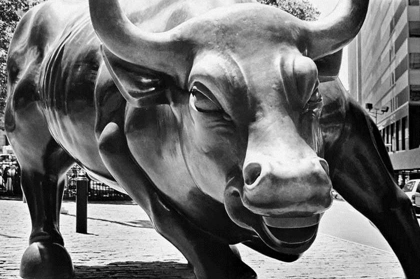 New York City Bull Monochrome Wallpaper