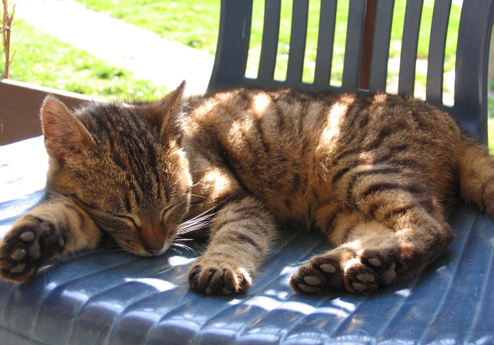 Rest Time On The Chair Wallpaper