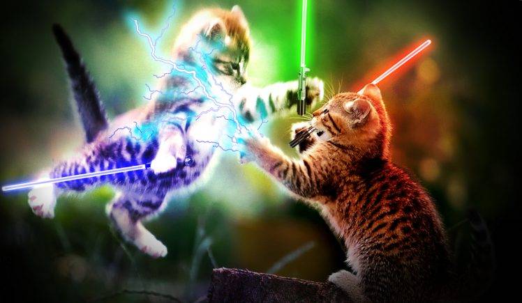 Star Cat Wars HD Wallpaper Desktop Background