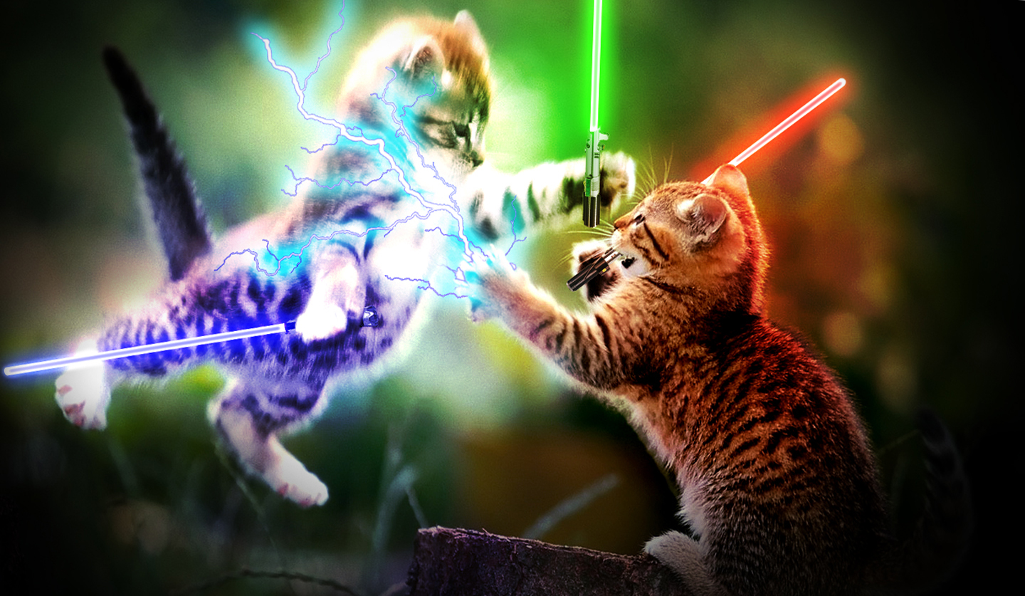 Star Cat Wars Wallpaper