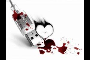 Usb Blood And Heart