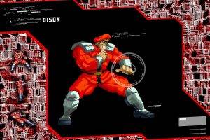Video Games Street Fighter Bison